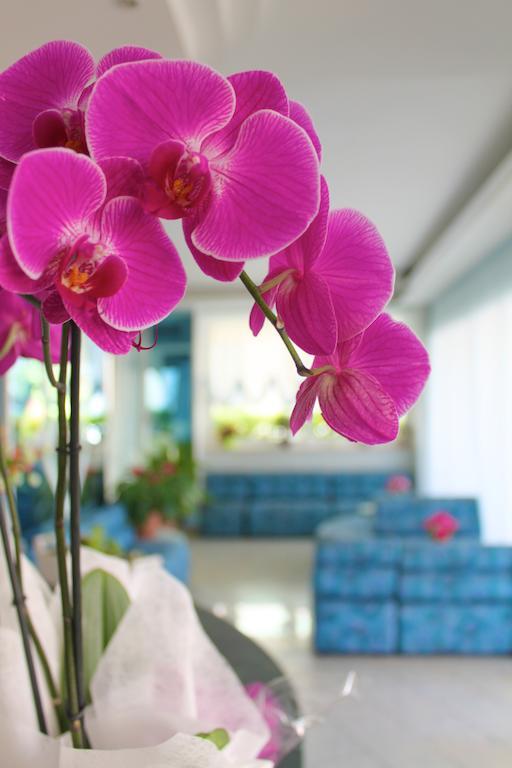 Hotel San Paolo Rimini Dış mekan fotoğraf